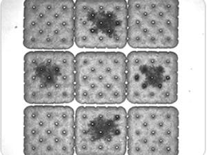 Crackers imaged by SWIR light camera