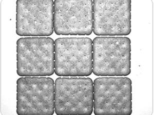 Crackers imaged by visible light camera